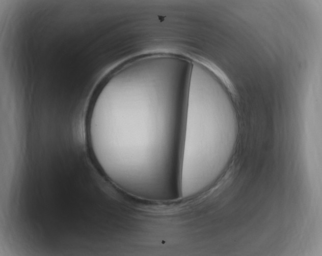 X0000102310980200807251038
