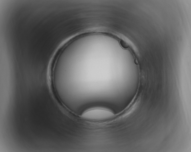 X0000102310981200807251038