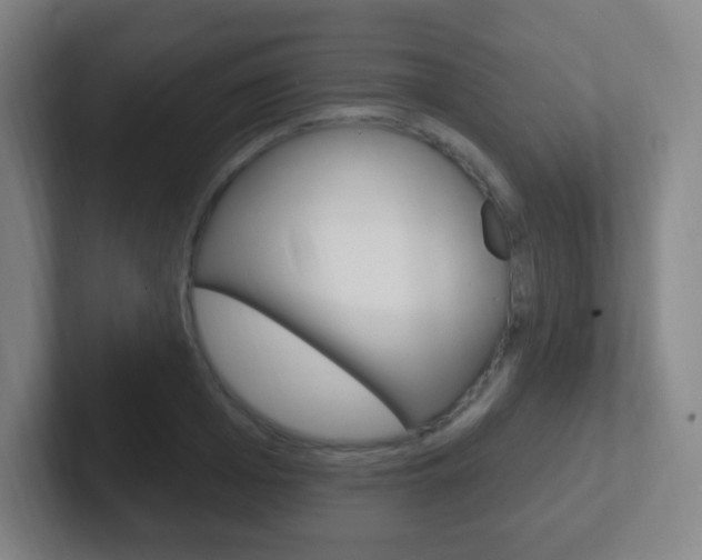 X0000102310985200807251038