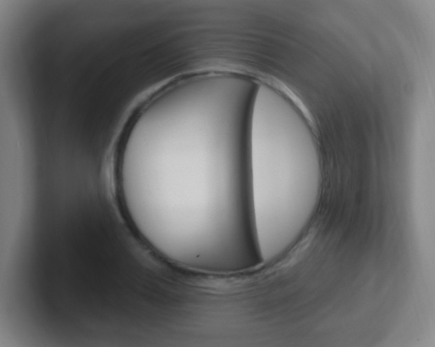 X0000102310987200807251038