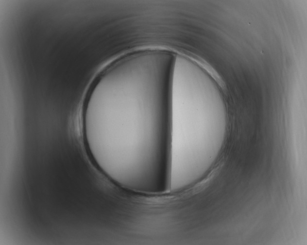 X0000102310988200807251038