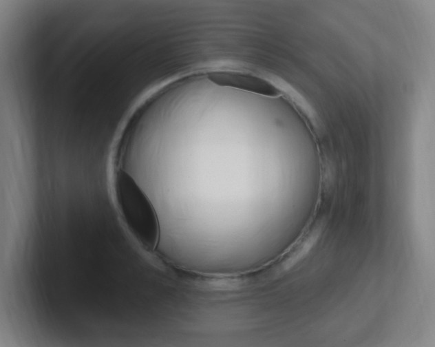 X0000102310989200807251038