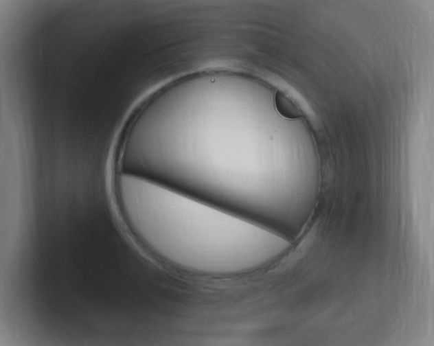 X0000102310991200807251037