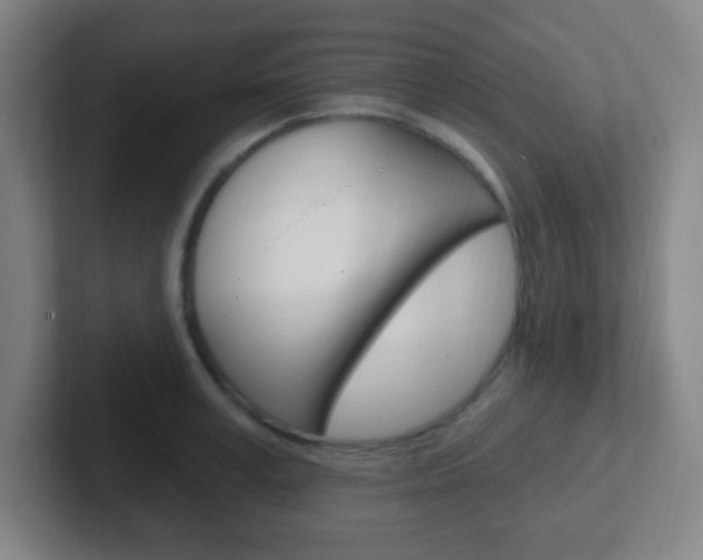X0000102310995200807251037