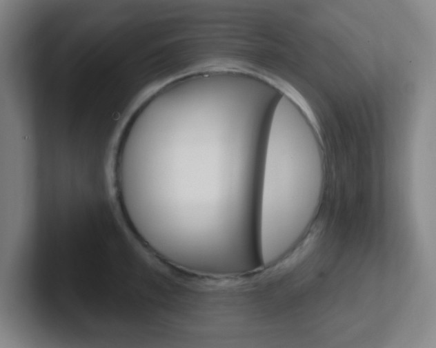 X0000102310997200807251037