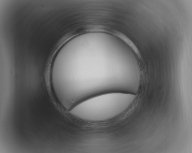 X0000102311002200807251037