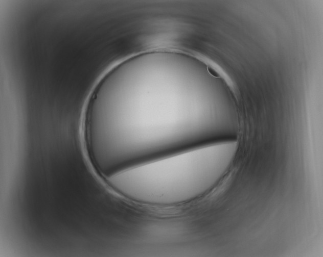 X0000102311007200807251037
