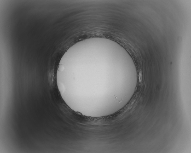 X0000102311011200807251036