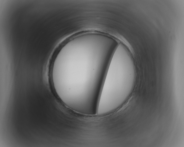 X0000102311020200807251037