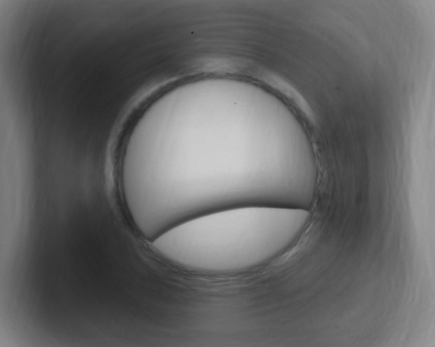X0000102311027200807251037