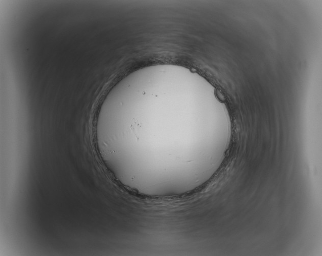 X0000102311057200807251036