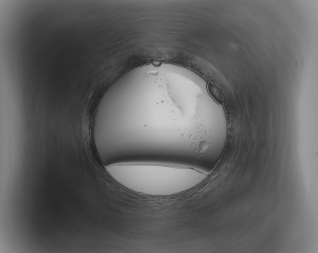 X0000102311058200807251036