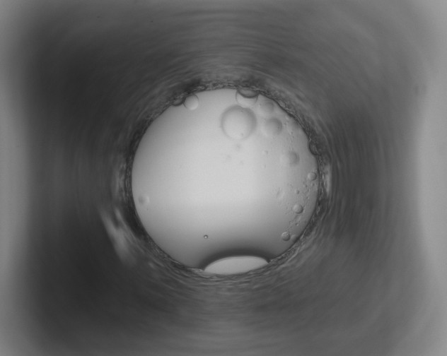 X0000102311059200807251036
