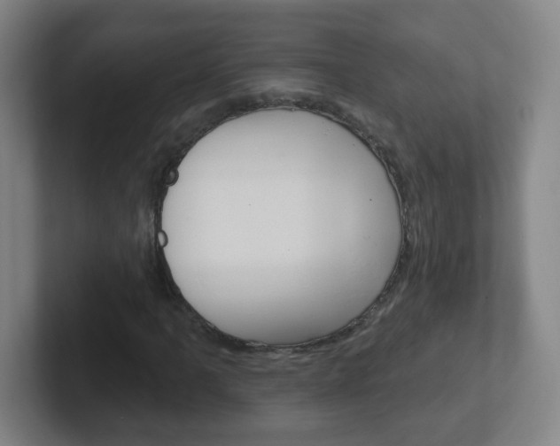 X0000102311061200807251036