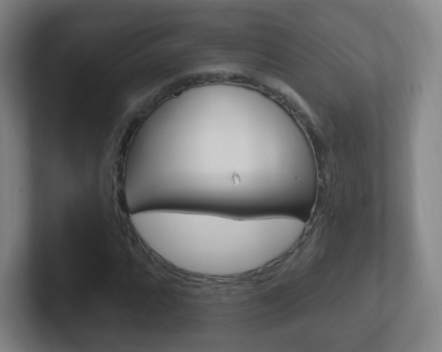 X0000102311064200807251036
