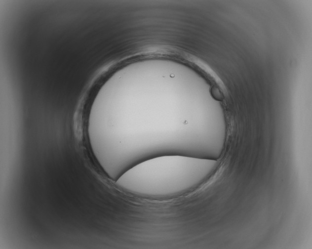 X0000102311067200807251036