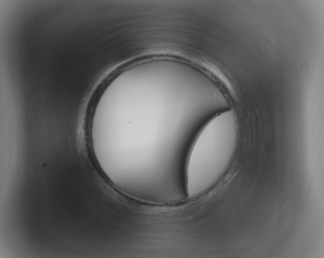 X0000102311068200807251036