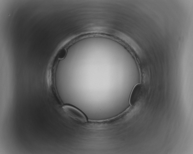 X0000102311069200807251036