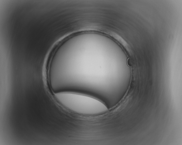 X0000102311072200807251036