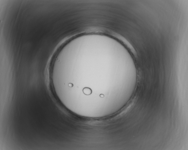 X0000102311075200807251036