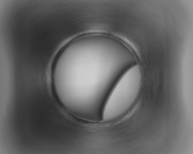 X0000102311077200807251036