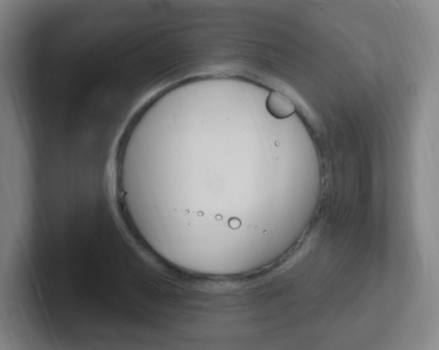 X0000102311079200807251036
