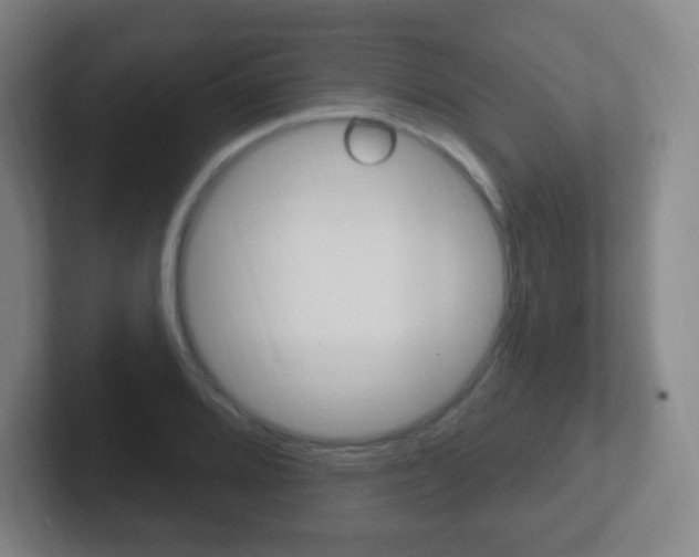 X0000102311080200807251036