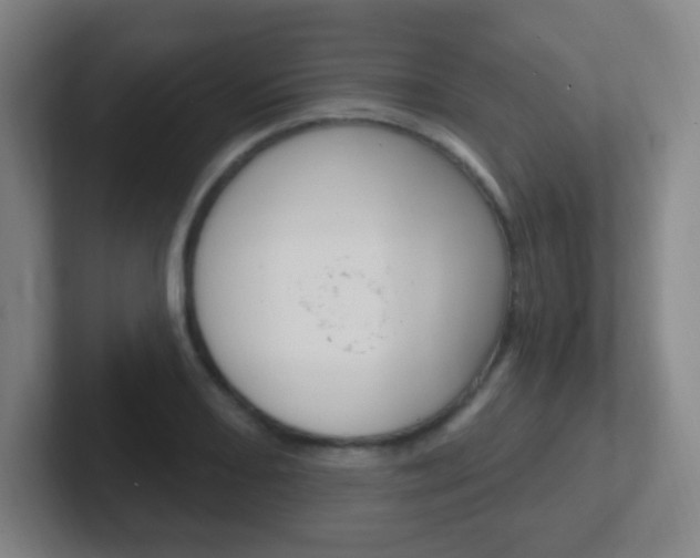 X0000102311082200807251036
