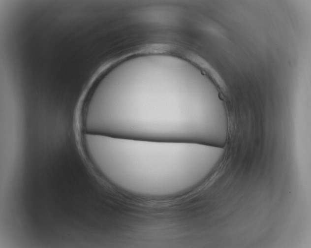 X0000102311083200807251036