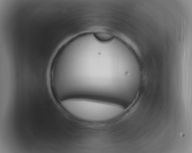 X0000102311085200807251036