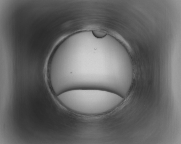X0000102311087200807251036