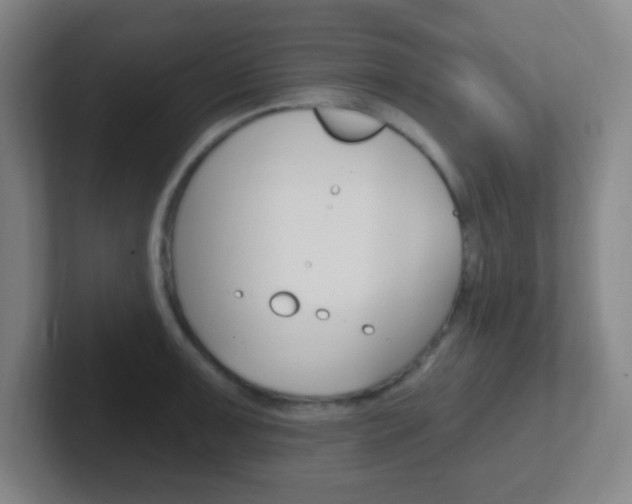 X0000102311091200807251036
