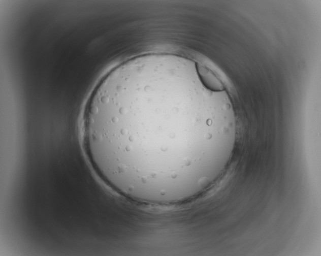 X0000102311095200807251036