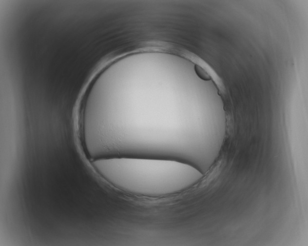 X0000102311099200807251036