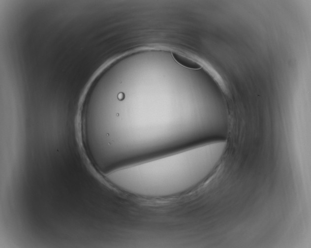 X0000102311100200807251036