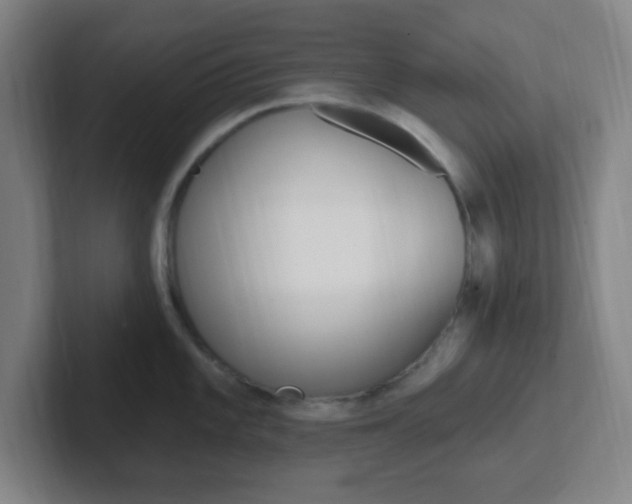 X0000102311101200807251036