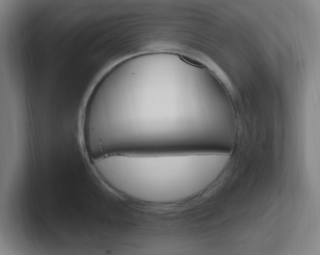 X0000102311102200807251036