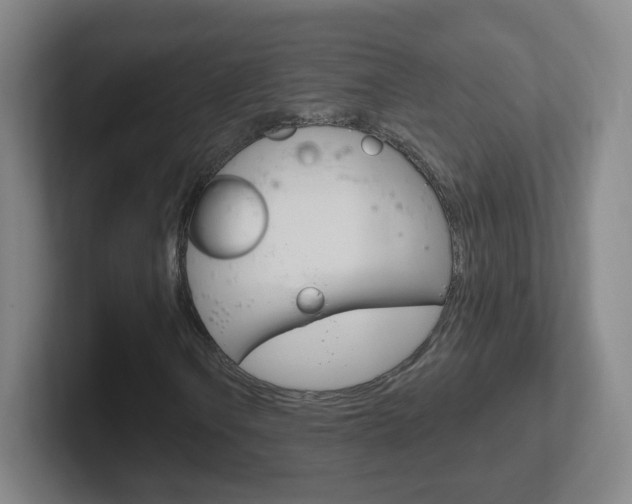 X0000102311106200807251035