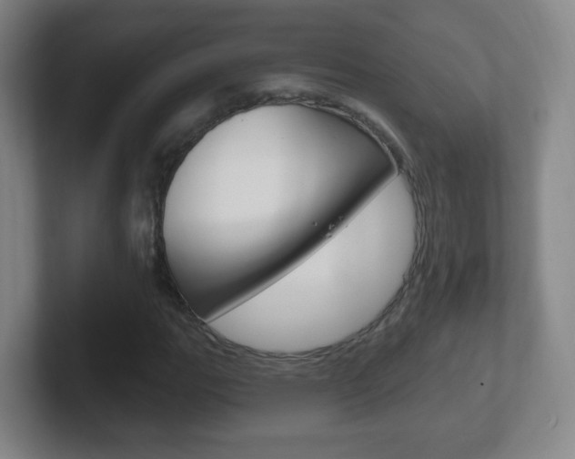 X0000102311111200807251035