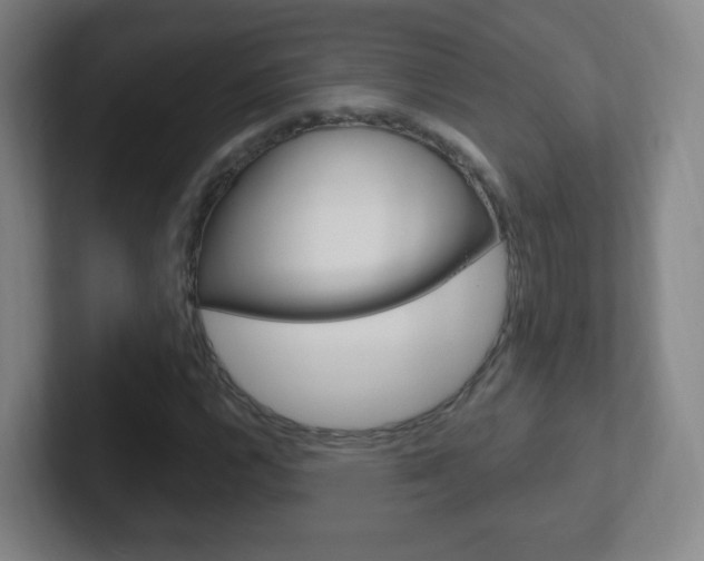 X0000102311112200807251035
