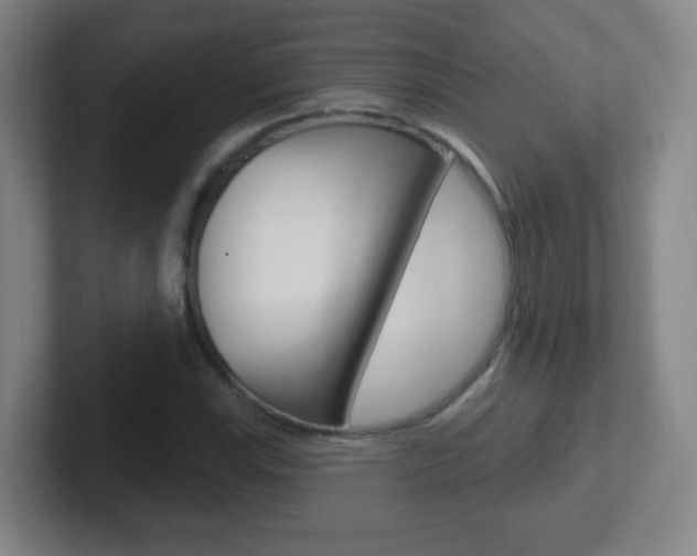 X0000102311115200807251035