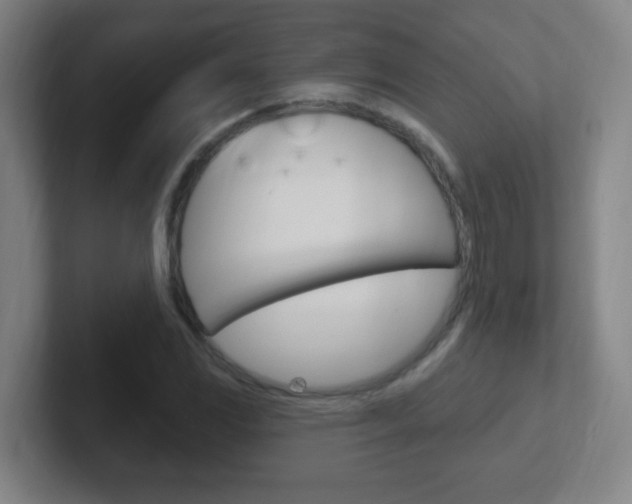X0000102311117200807251035