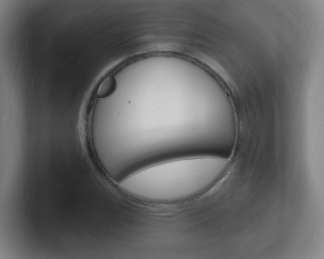 X0000102311119200807251035