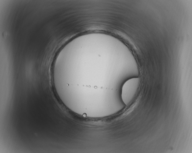 X0000102311121200807251035