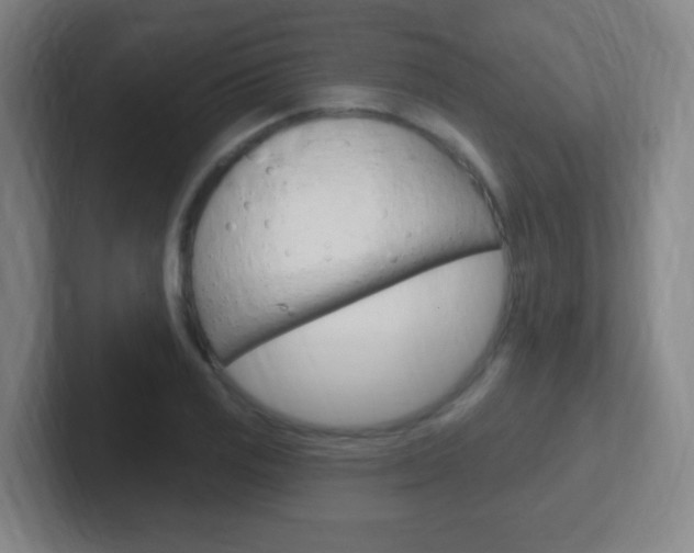 X0000102311125200807251035