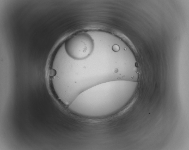 X0000102311130200807251036