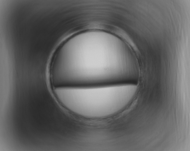 X0000102311133200807251036