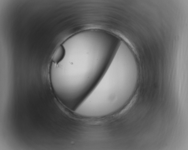 X0000102311137200807251036