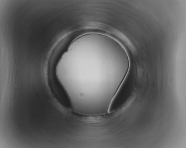 X0000102311138200807251036