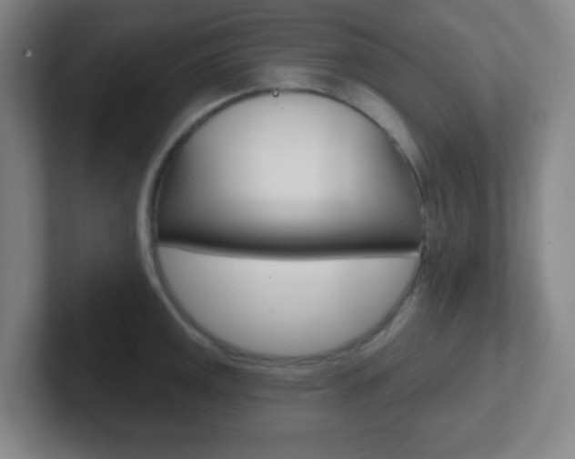 X0000102311141200807251036